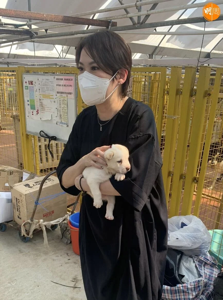 %e6%b9%af%e5%af%b6%e5%a6%82-4