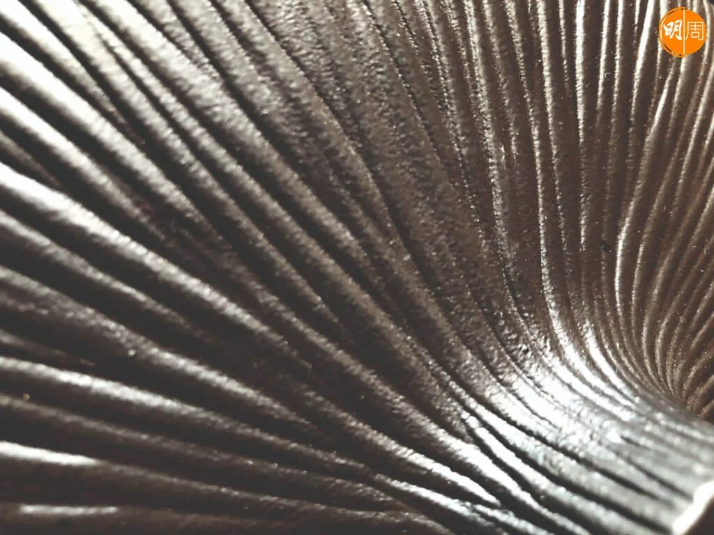 2dc520d4-e14c-4bf0-bce2-bfe8d7c044e9