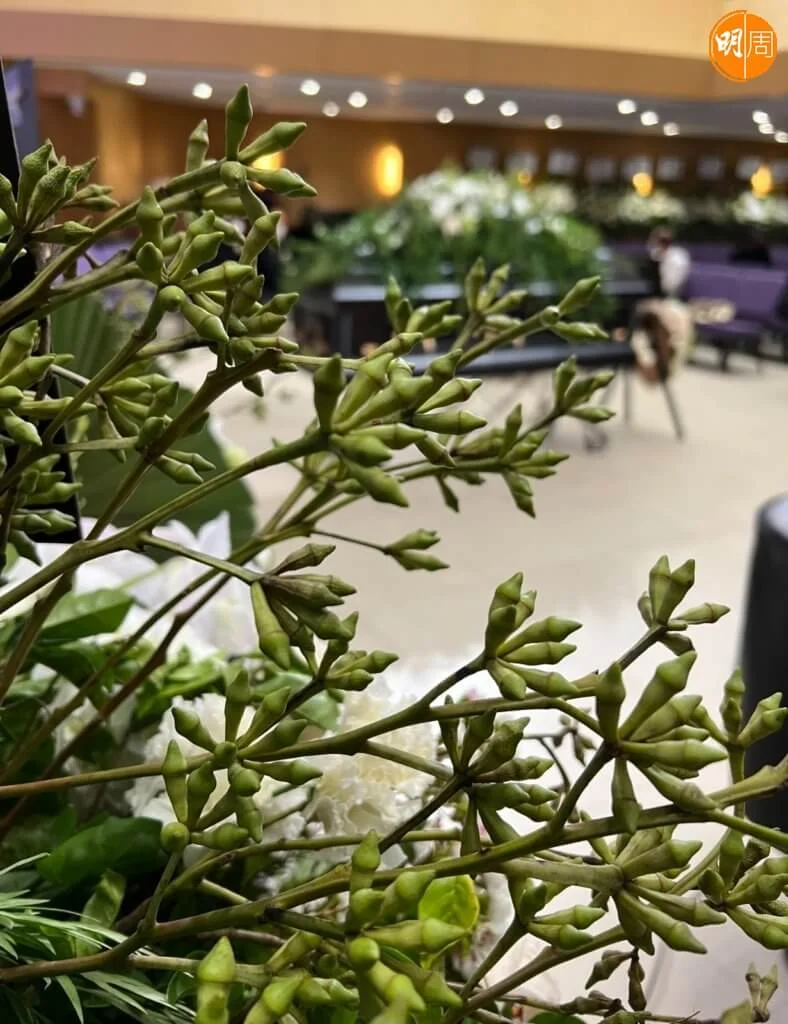 36bdea86-8d72-45fd-adf9-df2f08682f6a