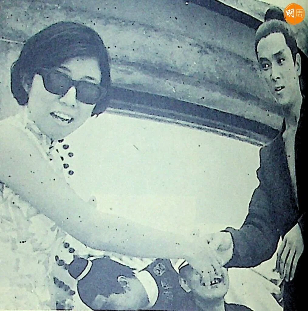 西西寫的明星文章沒有她寫電影的多。第一冊《西西看電影》還沒收入她的這些文字肖像畫。值得期待的有岳華一零一，方方盈盈，秦萍圓又圓，印象凌波，還有狄龍三十一，但此狄龍是姓氏，大名阿倫。