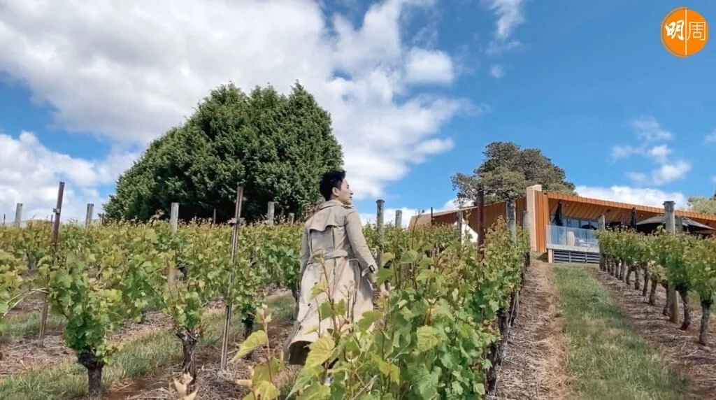 78352750-0513-4bf0-8616-65043c7f975b