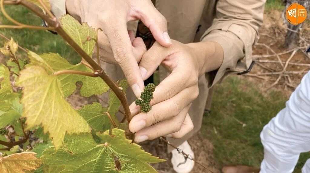 b540c431-3f40-403a-b34c-447b3cd8cfc8