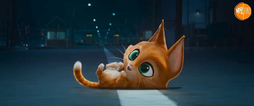 萌爆花貓身藏致命武器,非常出位爆笑。