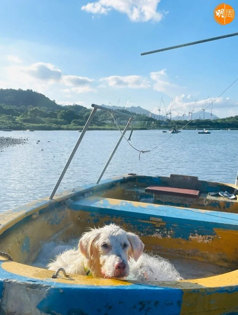 screenshot_20220805-071837_gallery