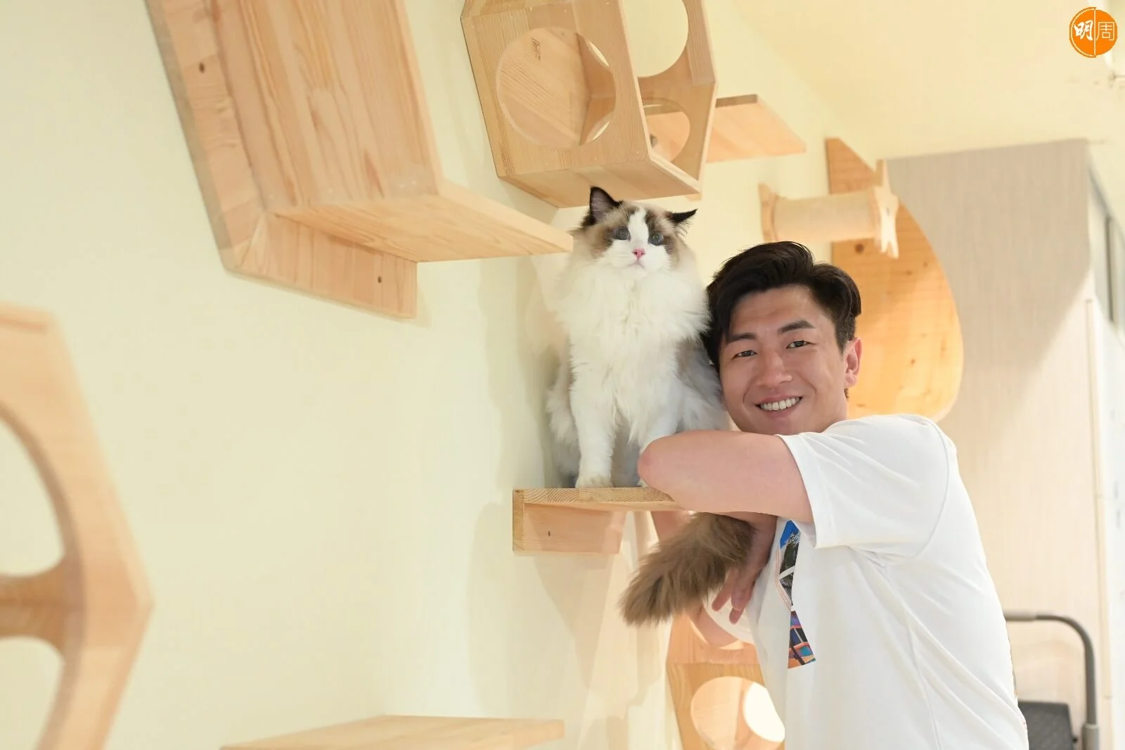 馬貫東是圈中的貓奴代表，家中最高峰時期養了十一隻貓。