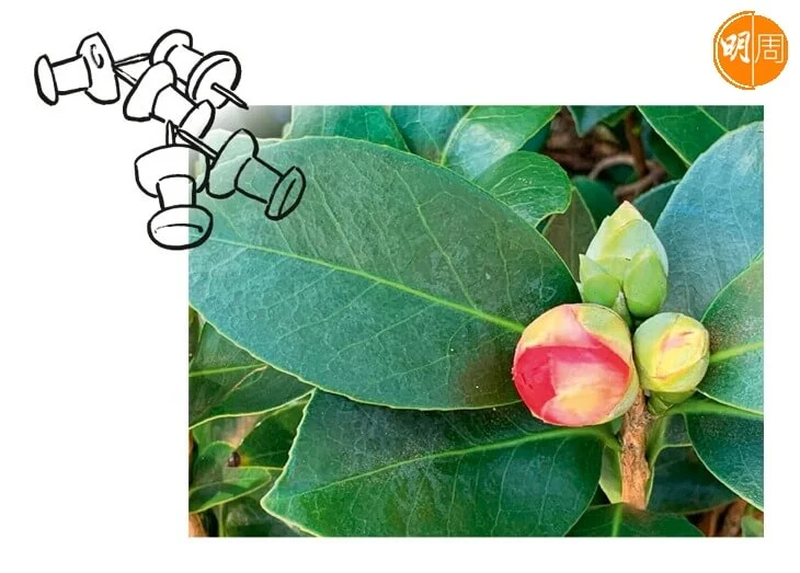 78ee2fad-8397-4247-a901-648021837b50