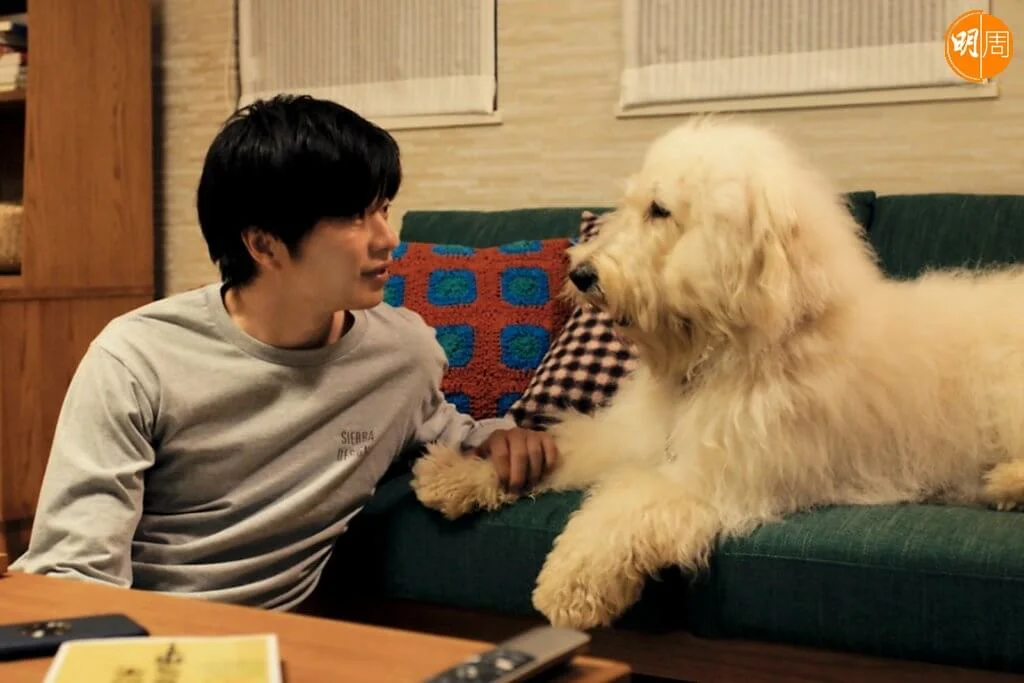 田中圭在《好狗不見了Haw》中跟超可愛的大白狗,演出真摯自然。