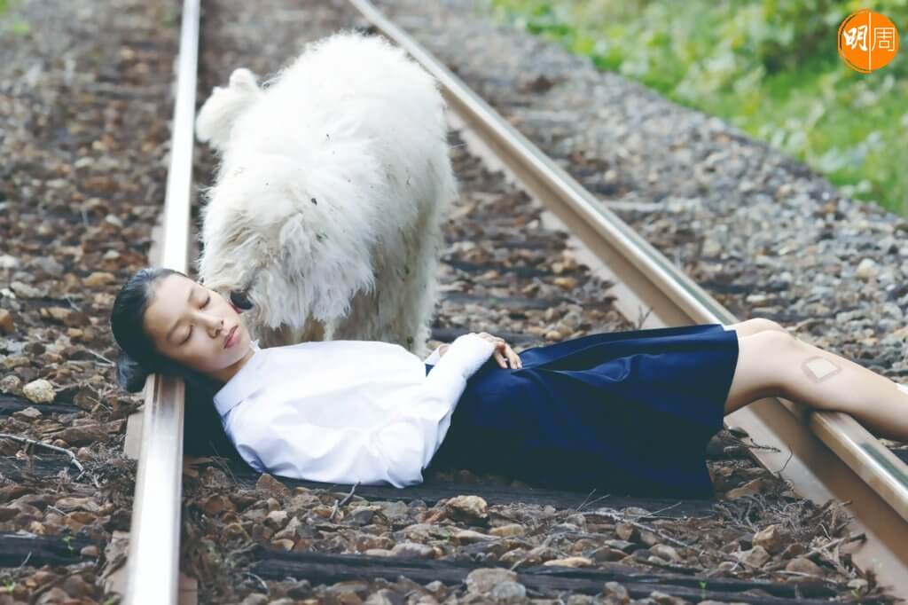 走失的大白狗，遇上因重返福島災區而被同學標籤「幅射女」的小女孩。