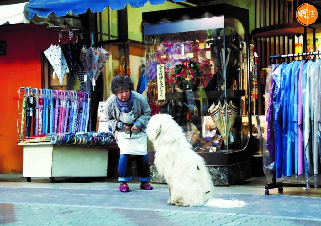 老牌女星宮本信子飾演獨撐式微雨傘店的婆婆，帶出日本被遺忘的老舊商店街及人口老化問題。
