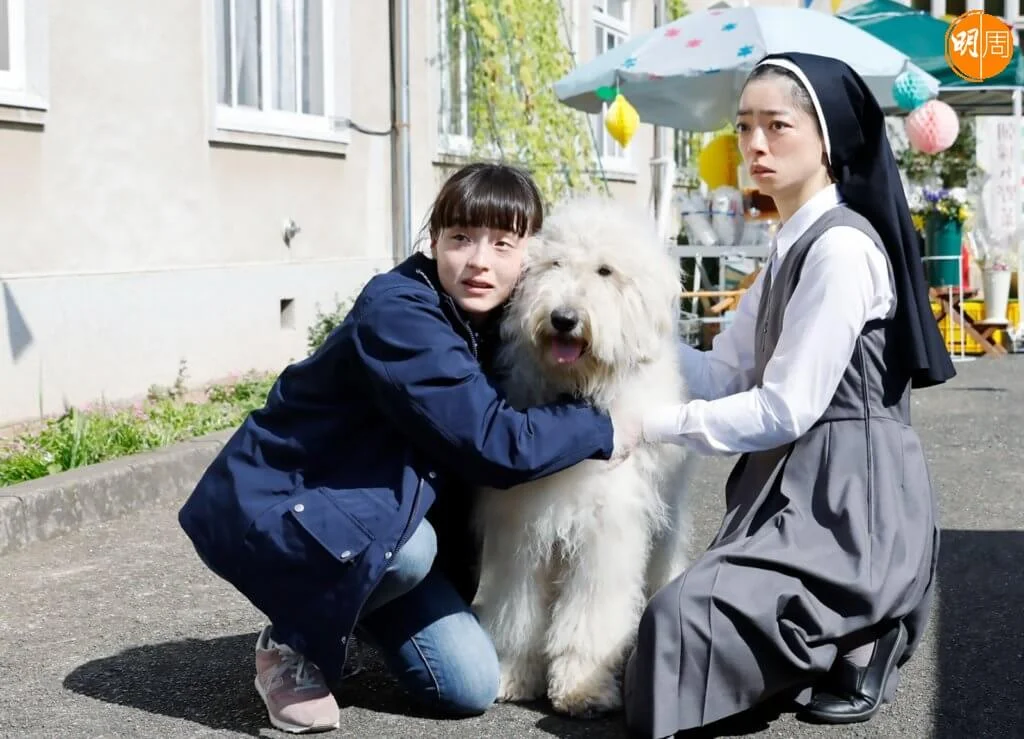 大白狗重遇當初虐待及遺棄牠的主人,帶出悔疚與救贖的主題。