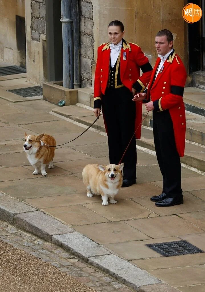 女王四歲開始學騎馬,一生愛馬並視賽馬為終身興趣,九十多歲高齡依然策騎成為熱話,小馬Emma是女王晚年最鍾愛的小伙伴。(法新社圖片)