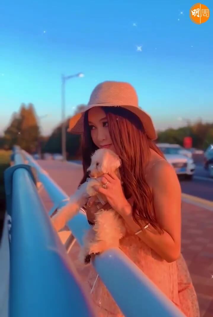 Irene在上海收養了這隻可愛狗BB。