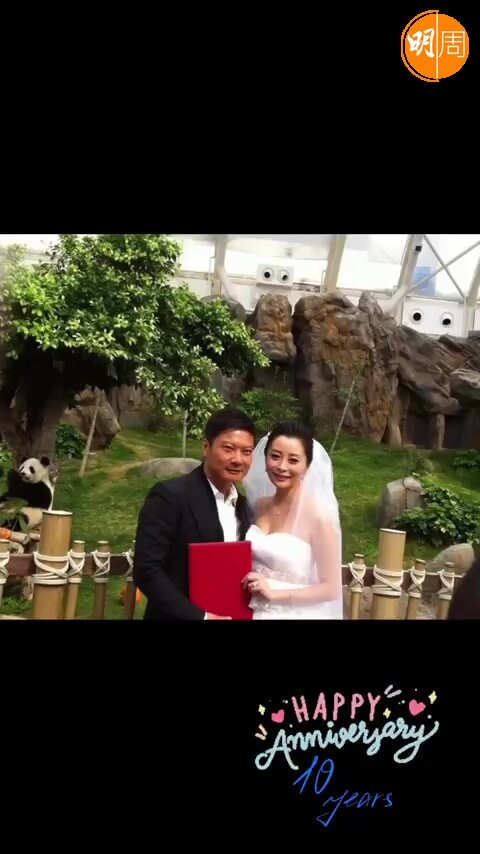 當年由熊貓女盈盈見證二人結婚。