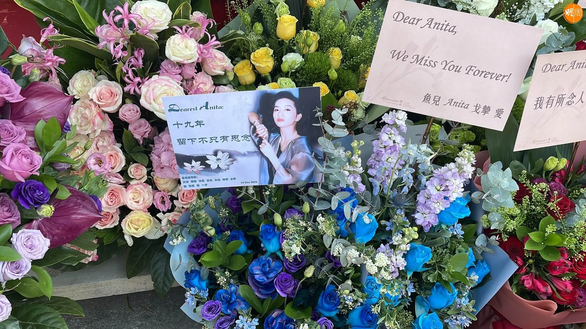 梅迷這些年來，今天都會去拜祭。