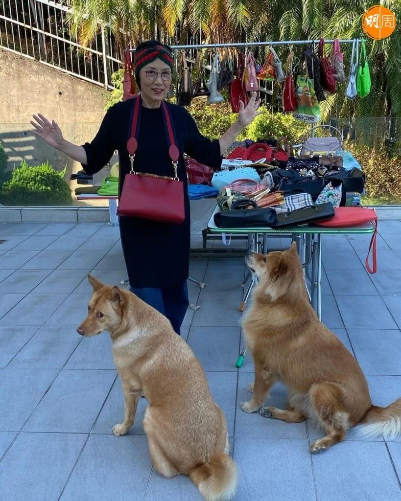 1987年阿姐以293萬購入清水灣別墅獨立屋自住。