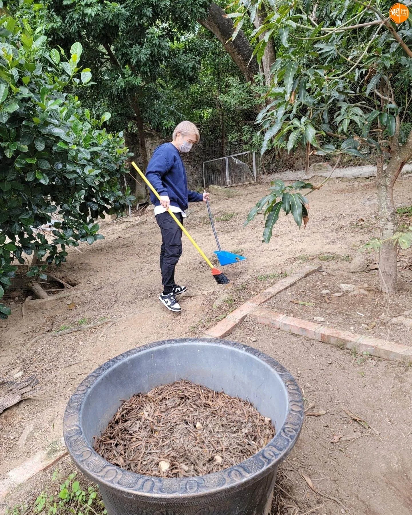 迅速掃滿一大筒便便。