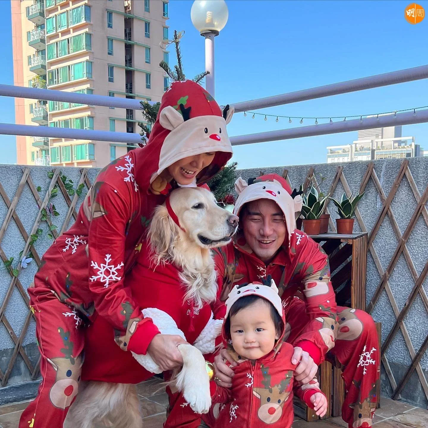 guruhung_321695086_120225830928659_5825566105654775695_n