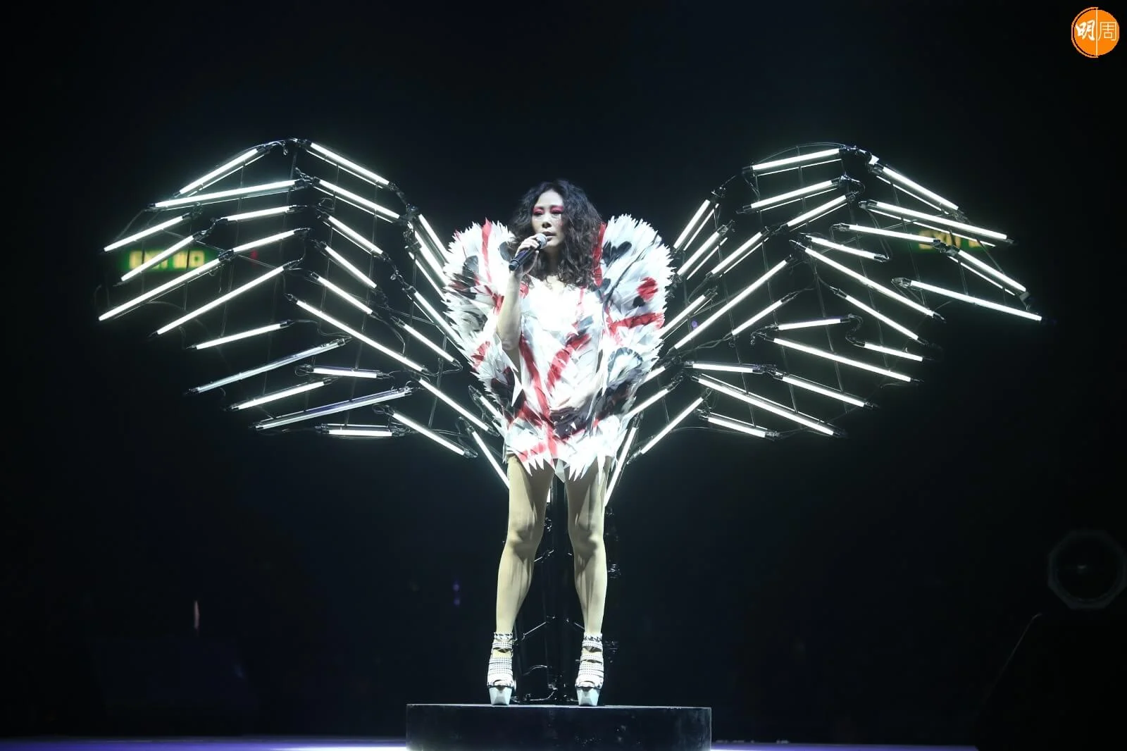 whatsapp-image-2022-12-15-at-6-34-58-pm-1