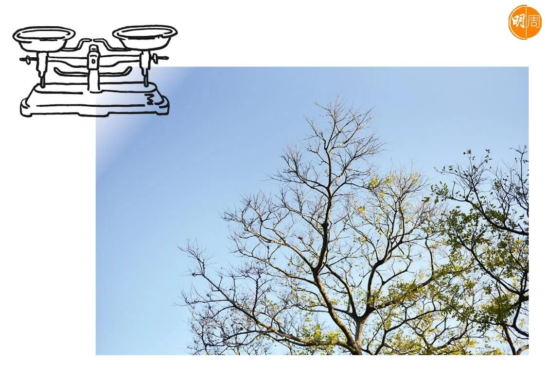 whatsapp-image-2023-01-04-at-1-43-29-pm