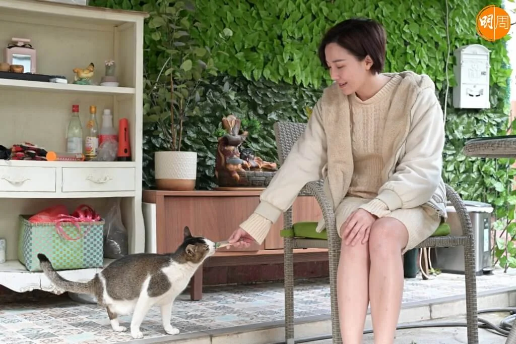 bc90d964-d1e1-4cb5-85c4-dfab6c7bcfad