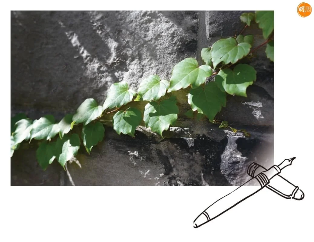 whatsapp-image-2023-02-06-at-1-29-01-pm