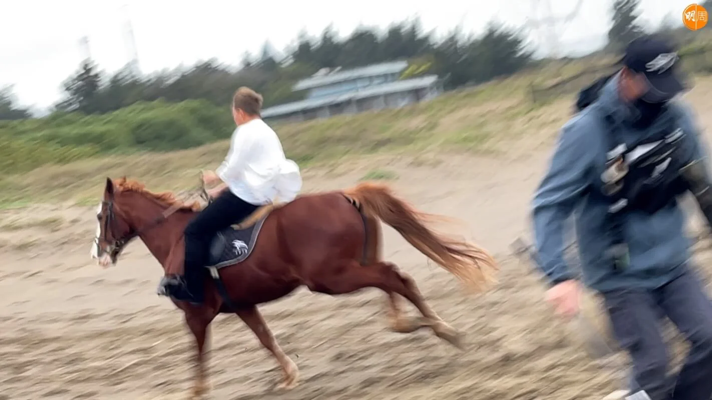 馬兒被空拍機嚇親失控衝入叢林。