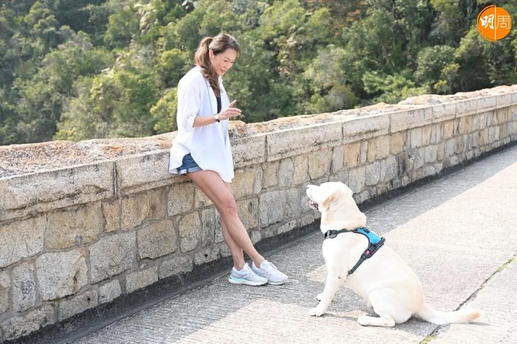 24168d1e-a7c0-4ca9-ab38-354b50b10ada