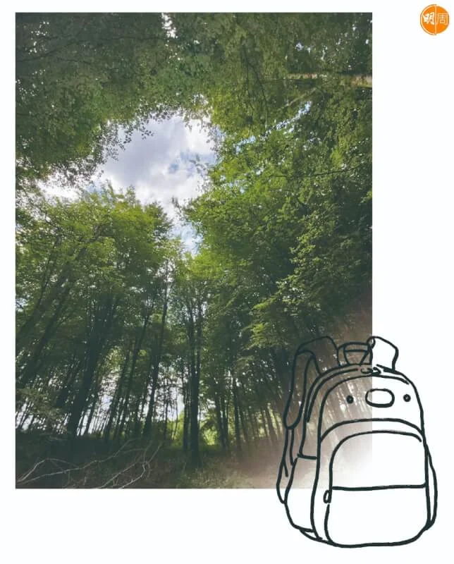 whatsapp-image-2023-03-08-at-6-06-08-pm