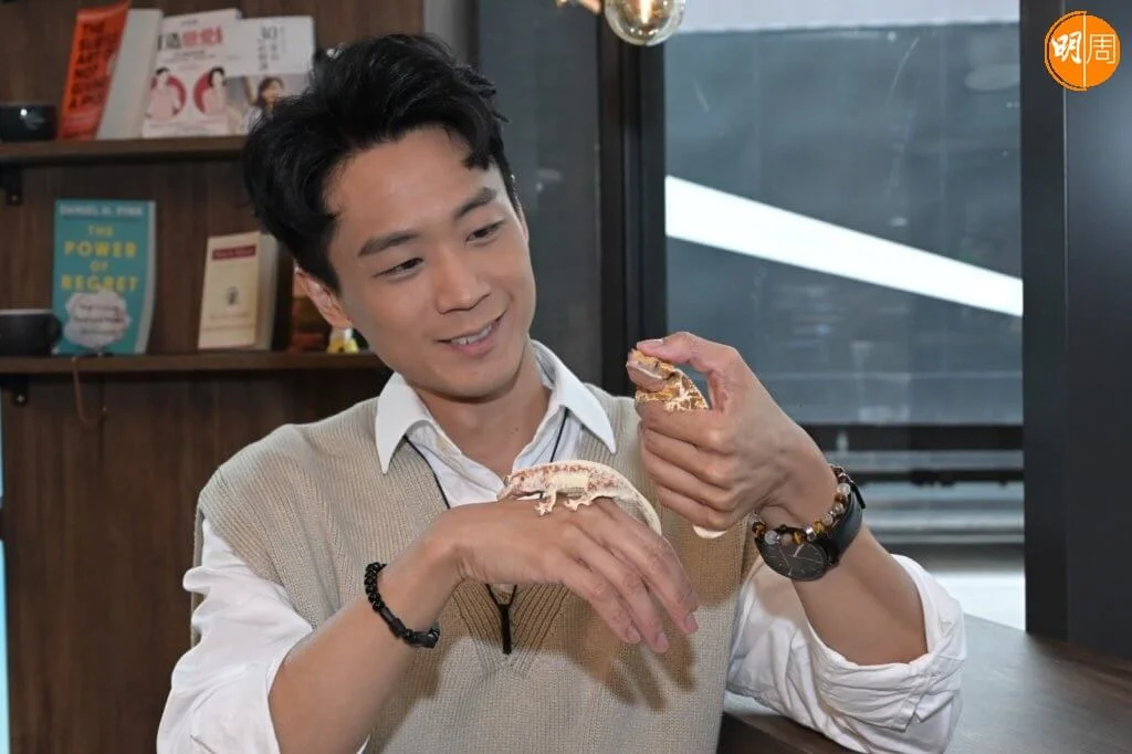 兩個小東西名睫角守宮，身上的顏色會隨環境變化。