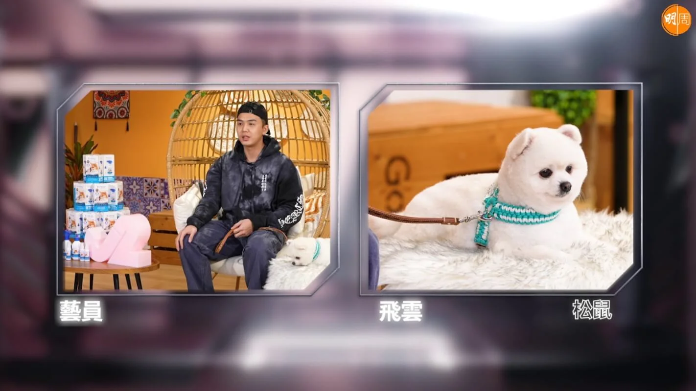 whatsapp-image-2023-05-21-at-17-42-15-3