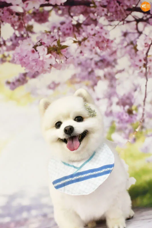 whatsapp-image-2023-05-21-at-17-42-15-4