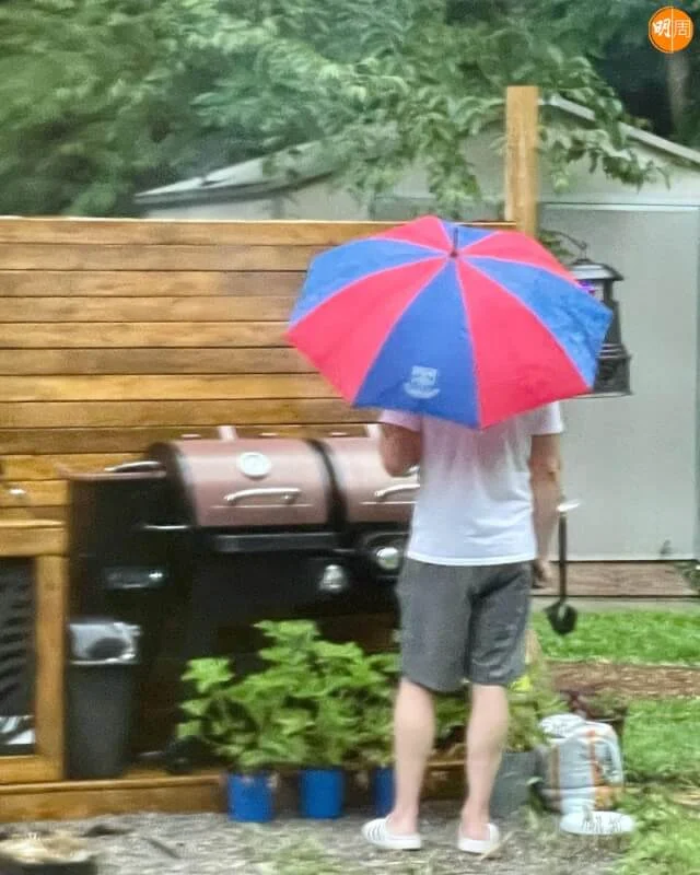 準女婿撐傘在花園BBQ。
