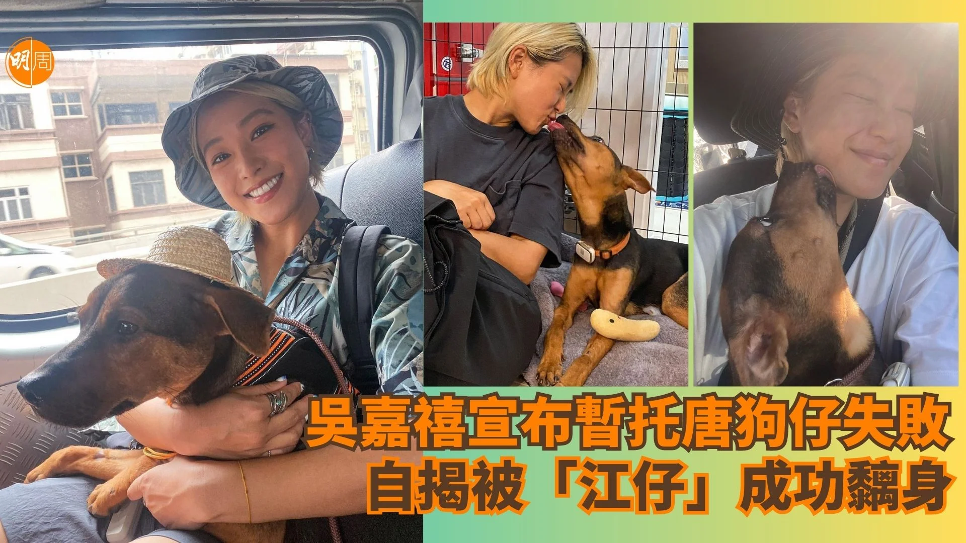 吳嘉禧宣布暫托唐狗仔失敗 自揭被「江仔」成功黐身 - 本地 - 明周娛樂