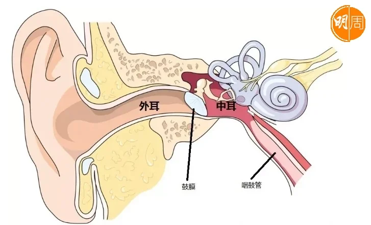 中耳近頭部重要部分，中耳疾病有機會引致其他併發症如腦膜炎。 