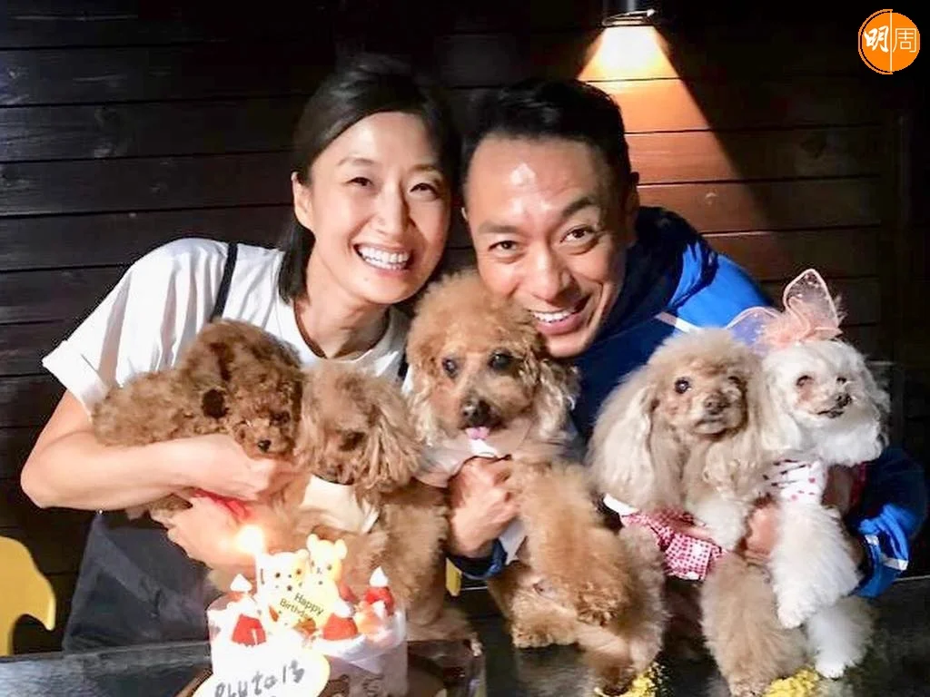 姜皓文和太太殷寧結婚24年，養了多隻狗仔做小朋友。