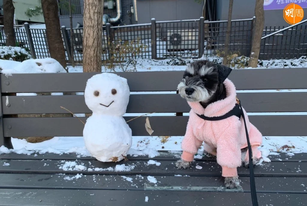 朴志訓常在IG 上載近況,照片中常看他的愛犬登場。