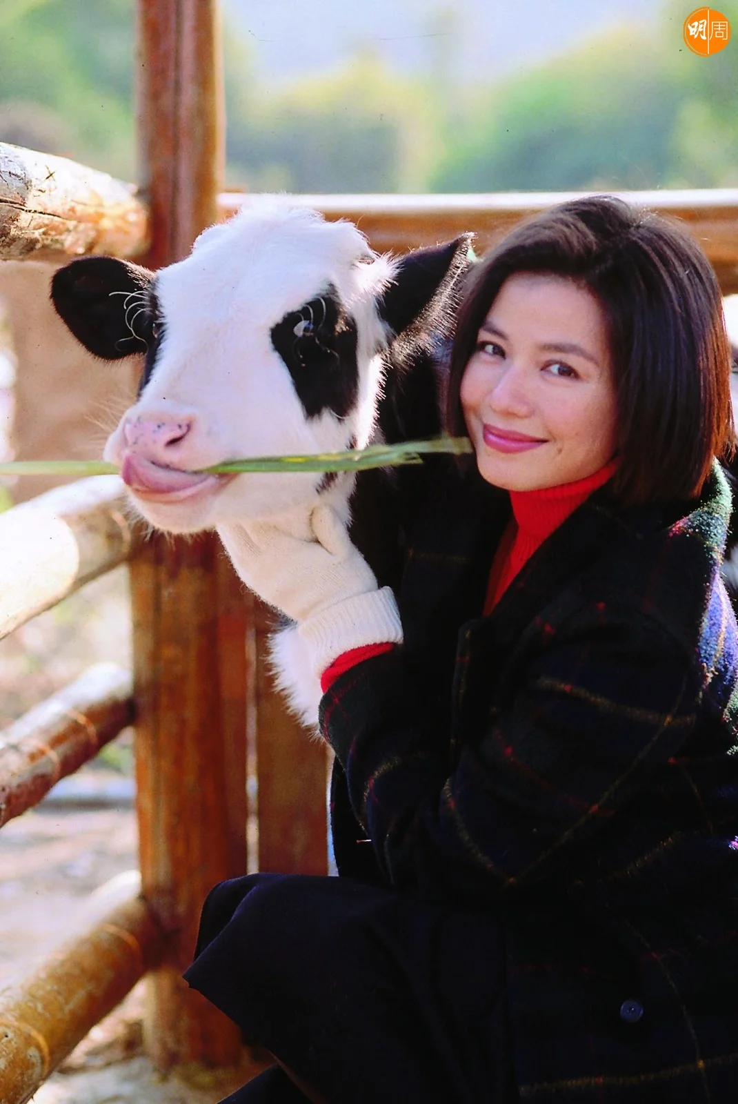 whatsapp-image-2024-01-29-at-1-35-16-pm-2