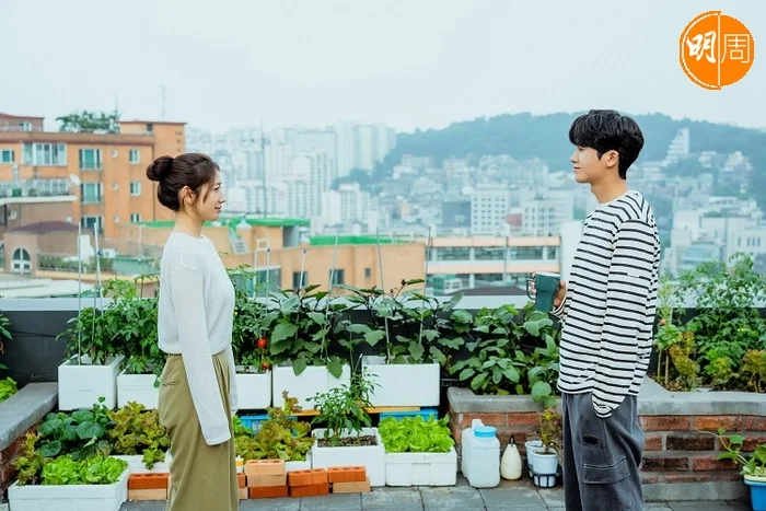 朴炯植和朴信惠在劇中飾演學生時代冤家,長大後同樣面對人生低潮,相遇相知。