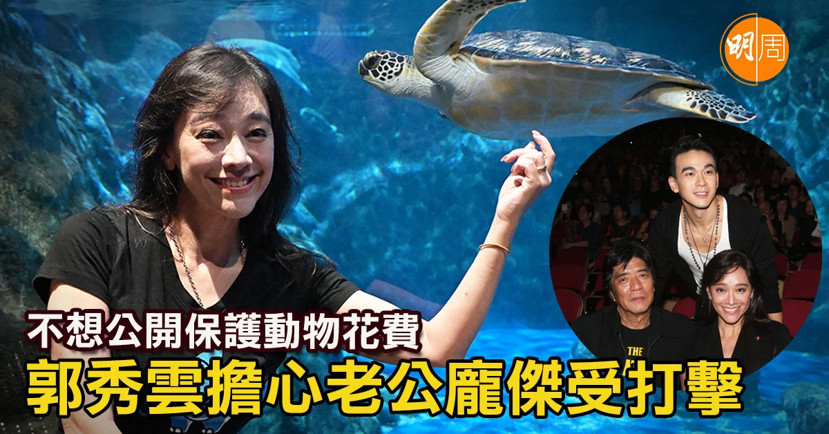 不想公開保護動物花費 郭秀雲擔心老公龐傑受打擊│郭秀雲專訪 - 本地 - 明周娛樂