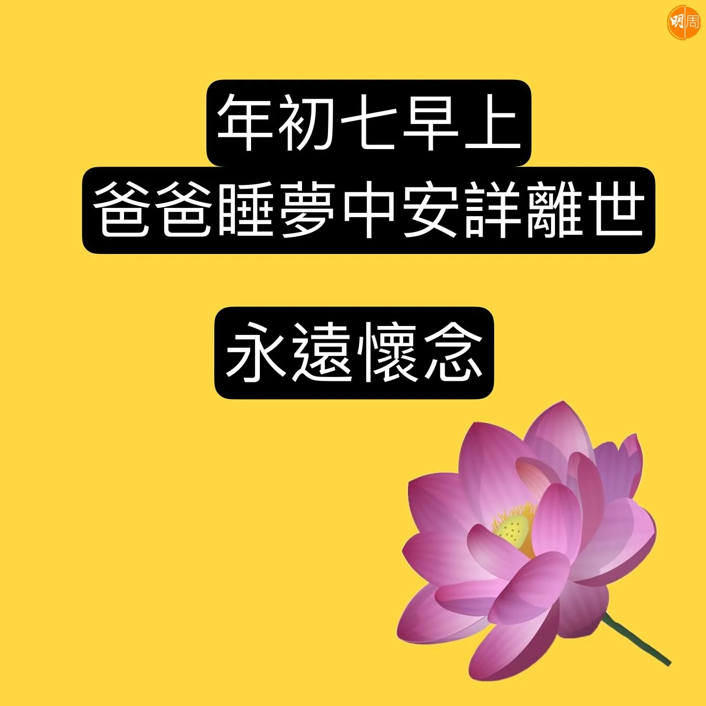 hiboss_foodie_476224386_18483770989023232_607047450183622177_n