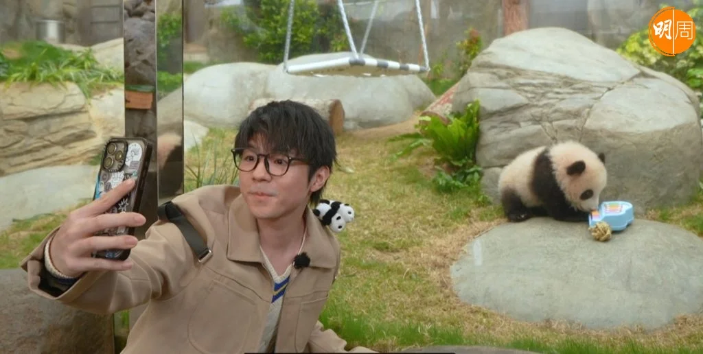 whatsapp-image-2025-02-17-at-4-39-17-pm-1