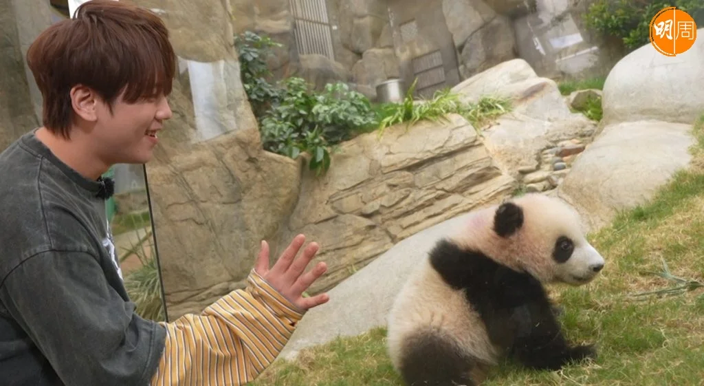 whatsapp-image-2025-02-17-at-4-39-17-pm