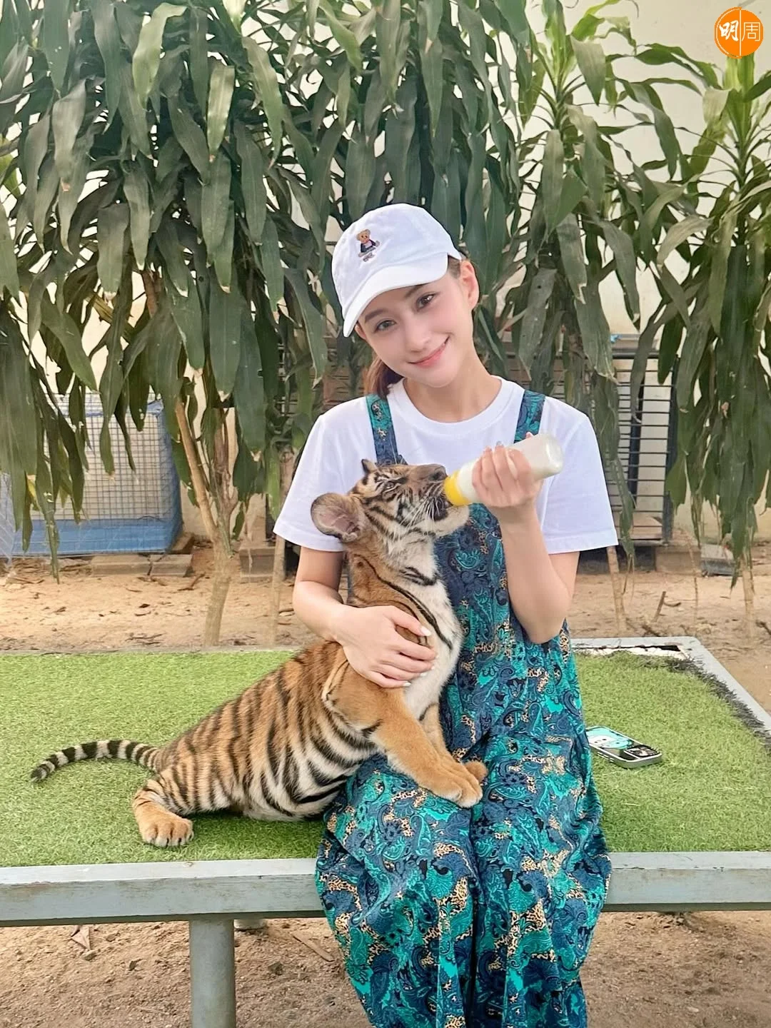 laurinda_ho_510964734_18511369954063922_6214741675424006140_n