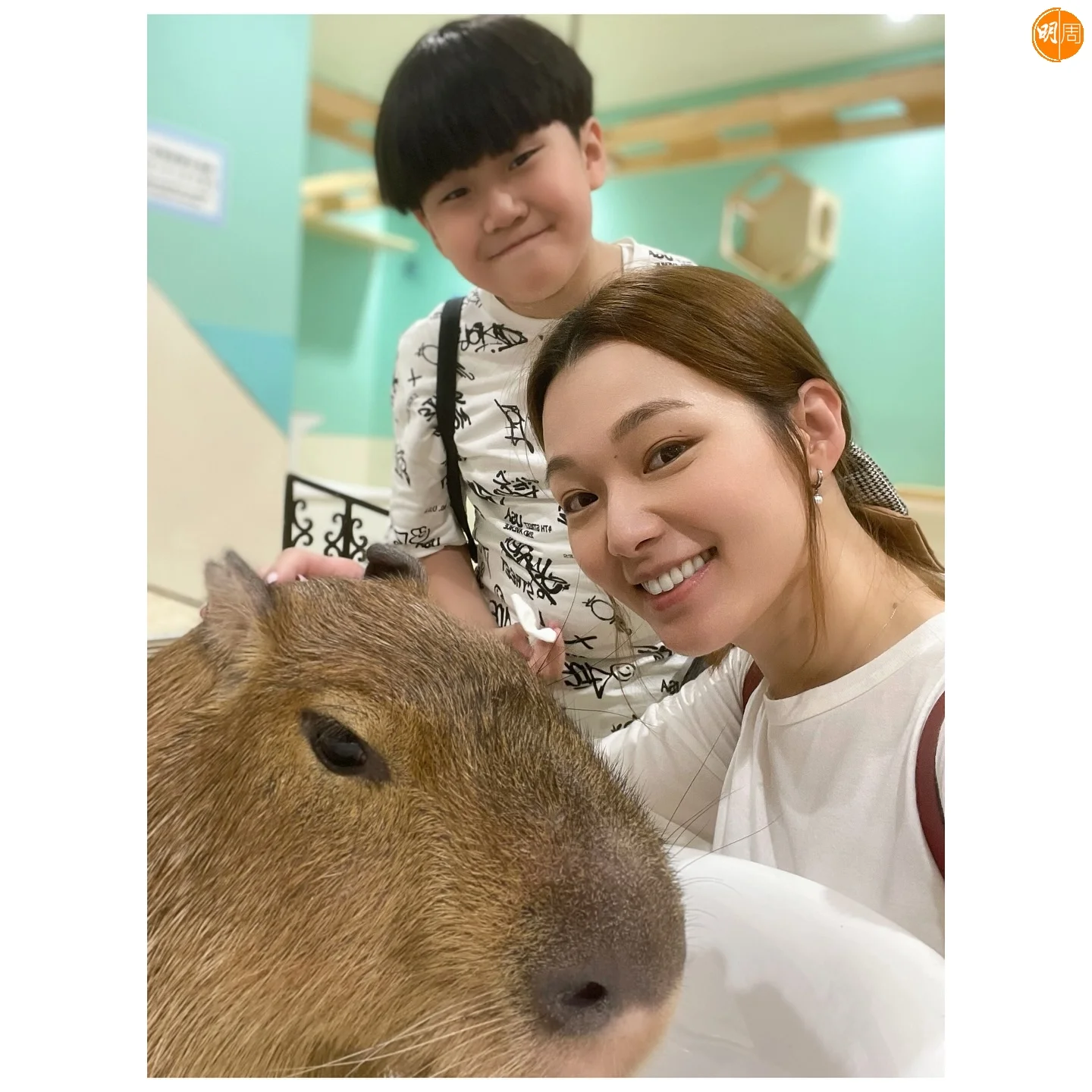 konniecrab_494054649_18349622383159195_5807934167775027491_n