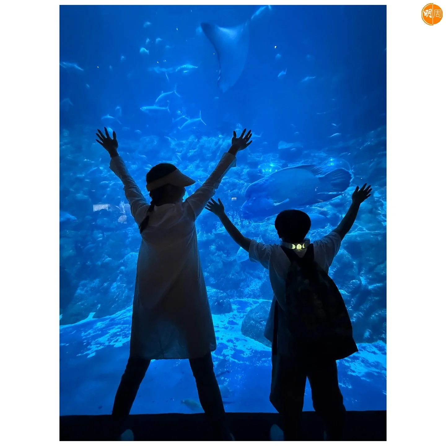 konniecrab_531262157_18361828945159195_1432928870248302510_n