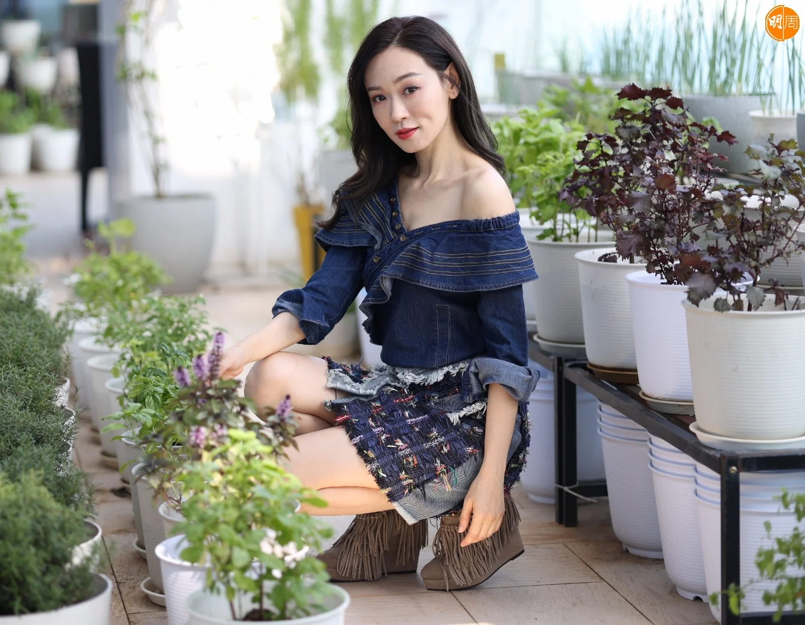 whatsapp-image-2025-09-01-at-15-39-40