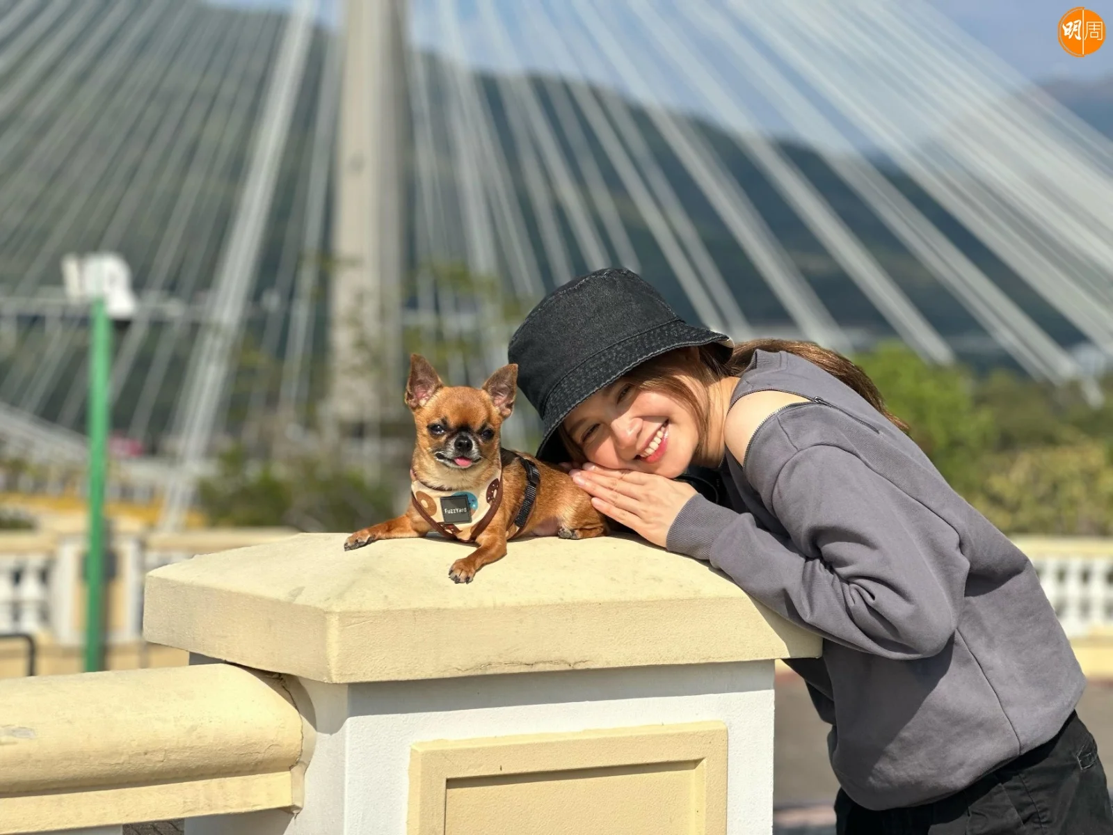 whatsapp-image-2025-09-02-at-4-25-38-pm