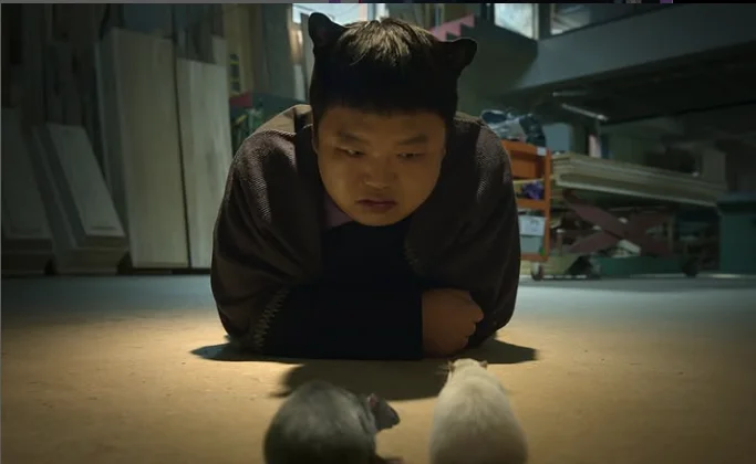 %e8%9e%a2%e5%b9%95%e6%93%b7%e5%8f%96%e7%95%ab%e9%9d%a2-2025-10-06-154009