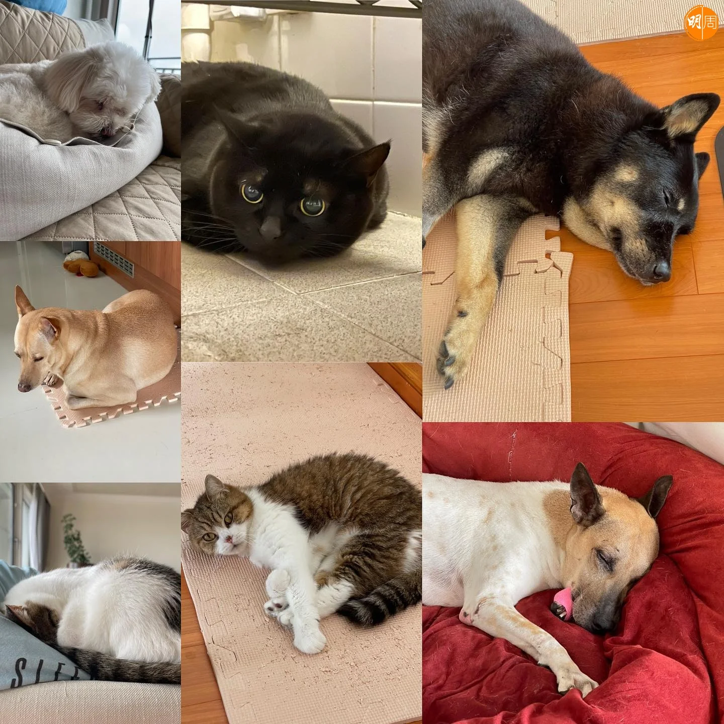 jessicahsuan_official_223468225_1908294829345620_565039330198408282_n