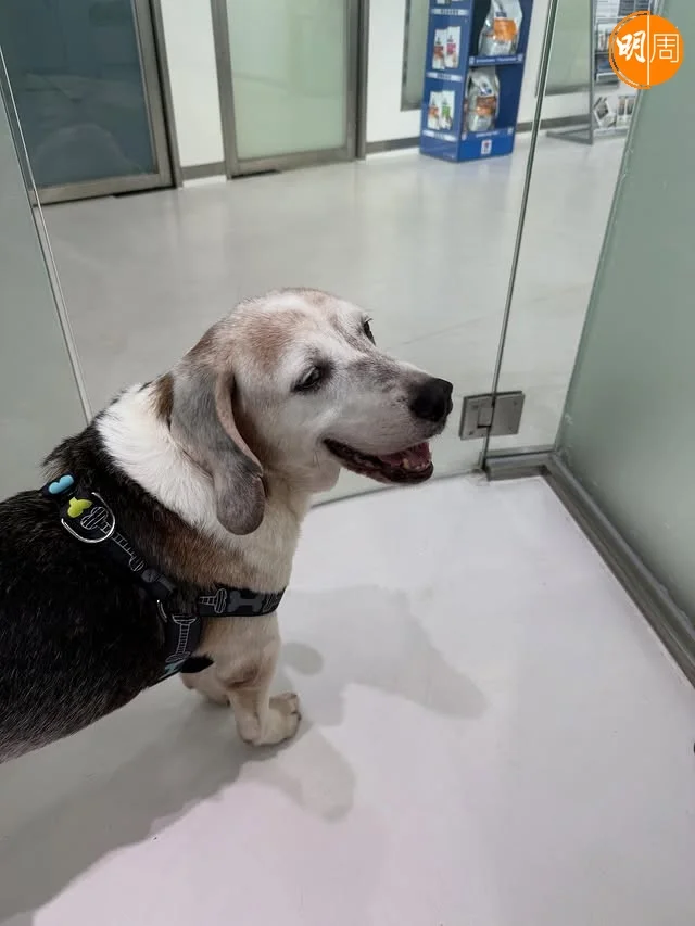 jessicahsuan_official_557692222_18521941222038609_9216023671450421831_n